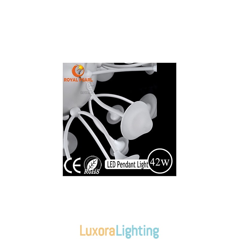 Designer Touch Decorative Modern Warm White Brightness Pendant Light Home Decoration