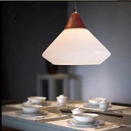 Designer Touch Decorative Simple Pendant lamp