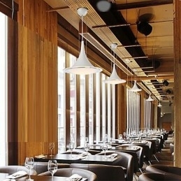 Designer Touch Decorative Pendant Lights Droplight Acrylic Chandelier