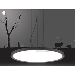 Designer Touch Decorative Pendant Light