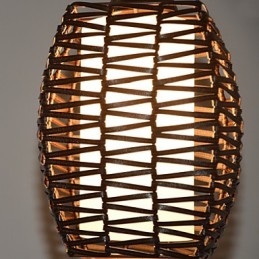 Designer Touch Decorative Cany Art Weaving Classical Contracted Droplight Lamp Light