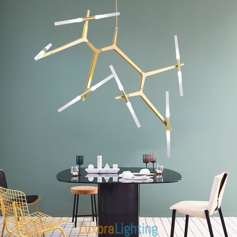 Designer Touch Decorative 12 Light Modern Contemporary Chandelier Light (Black Golden)