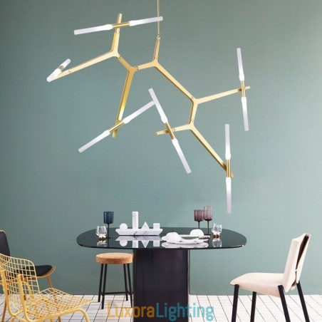 Designer Touch Decorative 12 Light Modern Contemporary Chandelier Light (Black Golden)