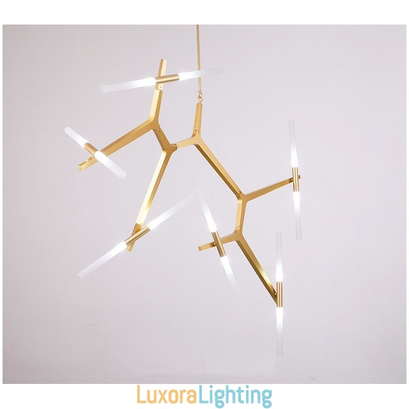 Designer Touch Decorative 12 Light Modern Contemporary Chandelier Light (Black Golden)