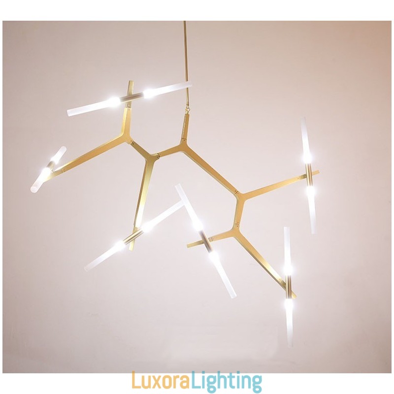 Designer Touch Decorative 12 Light Modern Contemporary Chandelier Light (Black Golden)