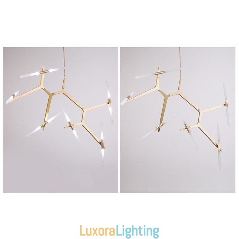 Designer Touch Decorative 12 Light Modern Contemporary Chandelier Light (Black Golden)