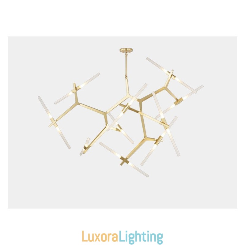 Designer Touch Decorative Modern Contemporary 20 Light Chandelier Light (Black Golden)