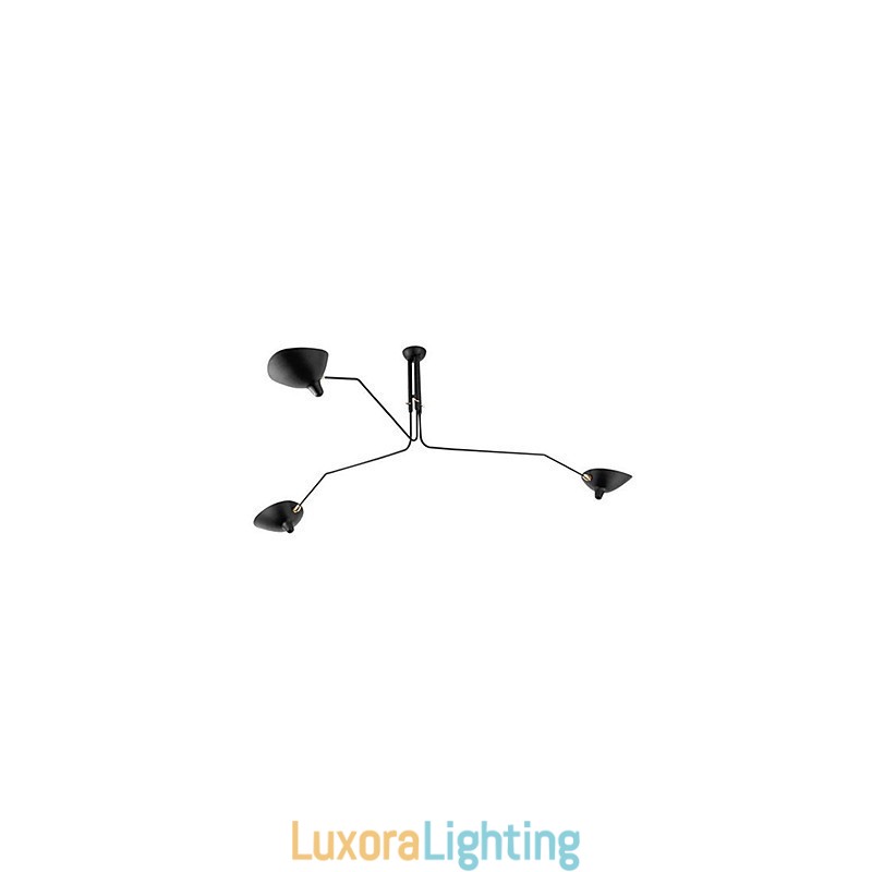 Designer Touch Decorative Modern Contemporary Painting Feature for Designers Metal Chandelier