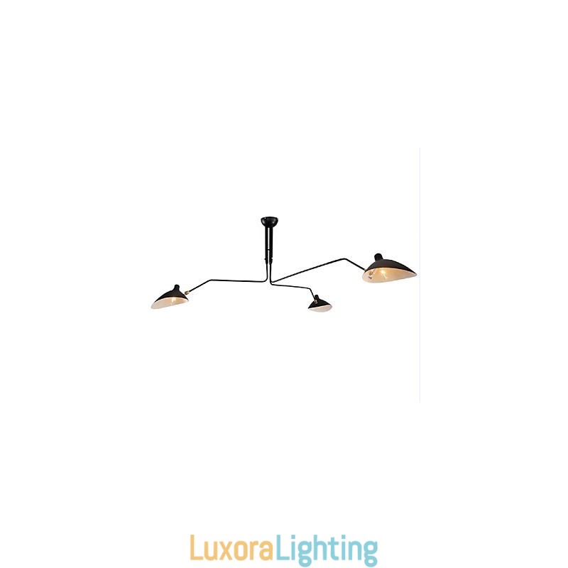 Designer Touch Decorative Modern Contemporary Painting Feature for Designers Metal Chandelier