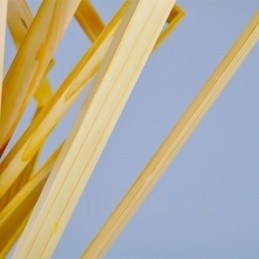 Designer Touch Decorative 1 Light Wood Modern Contemporary Nordic style Pendant Light with Wood Shade