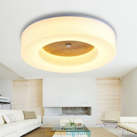 Designer Touch Decorative Modern Contemporary Nordic style Flush Mount Ceiling Lights with Acrylic Shade