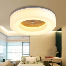 Designer Touch Decorative Modern Contemporary Nordic style Flush Mount Ceiling Lights with Acrylic Shade