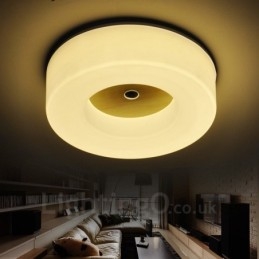 Designer Touch Decorative Modern Contemporary Nordic style Flush Mount Ceiling Lights with Acrylic Shade