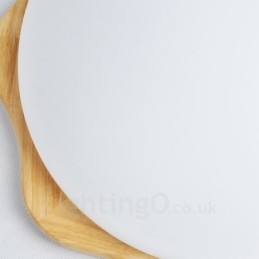 Designer Touch Decorative Modern Contemporary Flush Mount Ceiling Lights with Acrylic Shade