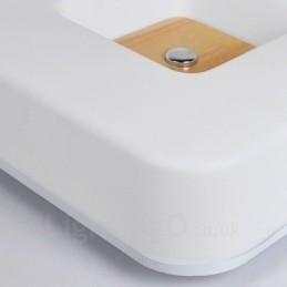 Designer Touch Decorative Modern Contemporary Nordic style Flush Mount Ceiling Lights with Acrylic Shade