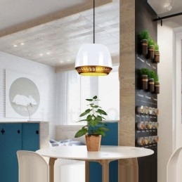 Designer Touch Decorative 1 Light Modern Contemporary Pendant Light with Black White Red Blue Shade