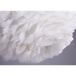 Designer Touch Decorative Multi Colours Feather Chandelier Modern Contemporary Pendant Light