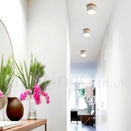 Designer Touch Decorative Wood Modern Design Mini Ceiling Light with Acrylic Shade Special for Also Can be Used as Wall Light