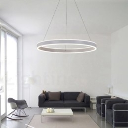 Designer Touch Decorative 1 Ring Two Strips Art Deco Pendant Light 60cm Suspended Light