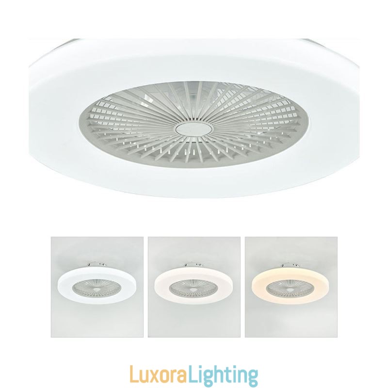 Designer Touch Decorative Fan Ceiling Light Trichromatic Dimming 3 Speed Remote Control