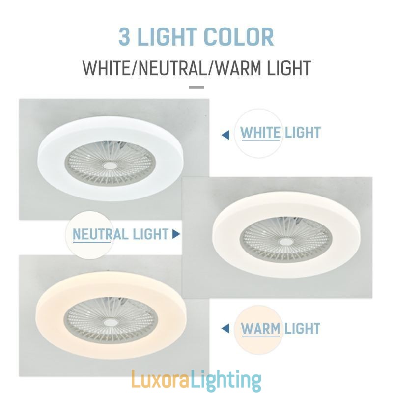 Designer Touch Decorative Fan Ceiling Light Trichromatic Dimming 3 Speed Remote Control
