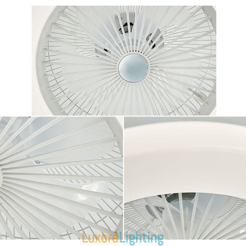 Designer Touch Decorative Fan Ceiling Light Trichromatic Dimming 3 Speed Remote Control