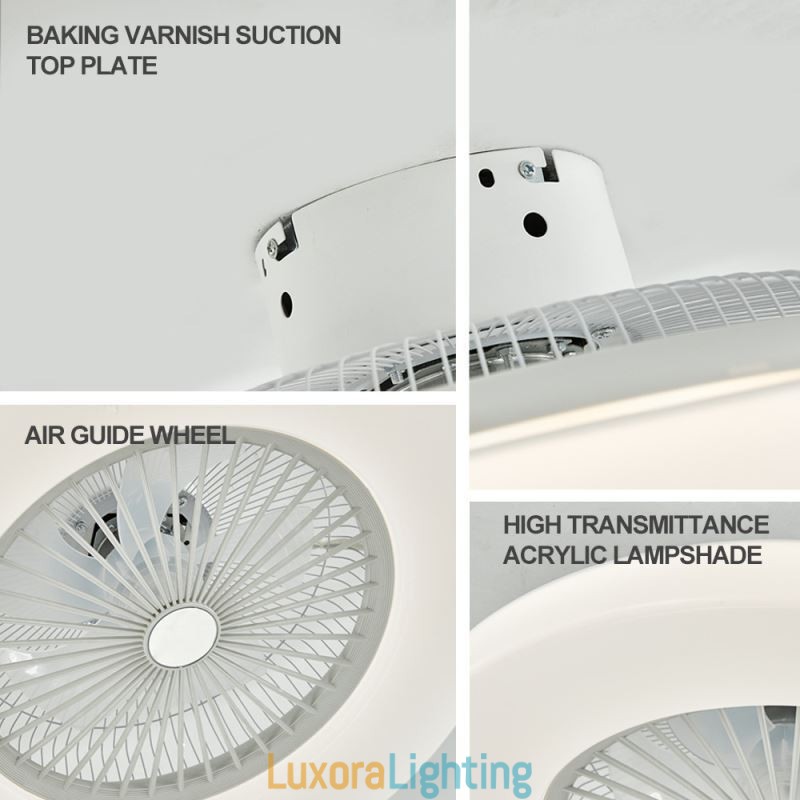 Designer Touch Decorative Fan Ceiling Light Trichromatic Dimming 3 Speed Remote Control