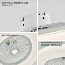 Designer Touch Decorative Fan Ceiling Light Trichromatic Dimming with Remote Control 3 Speed
