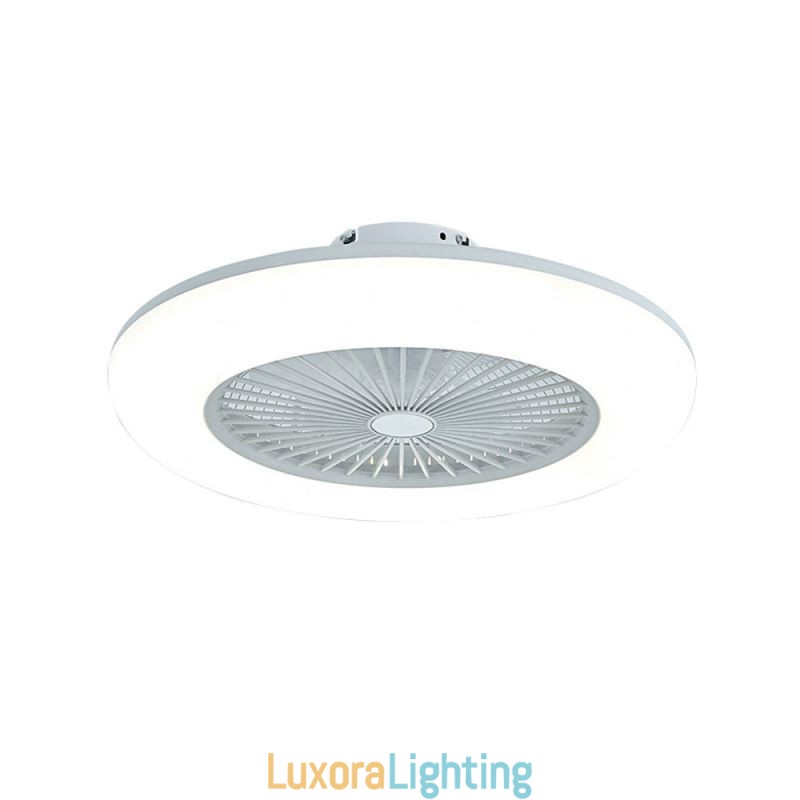 Designer Touch Decorative Fan Ceiling Light Trichromatic Dimming with Remote Control 3 Speed