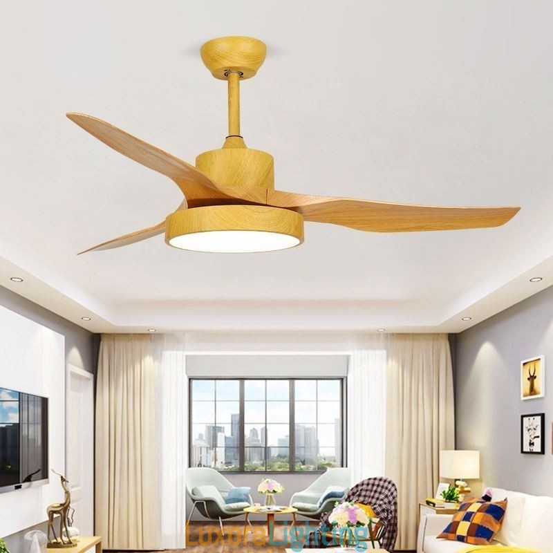Designer Touch Decorative Ceiling Fan with Remote Control 3 Blades