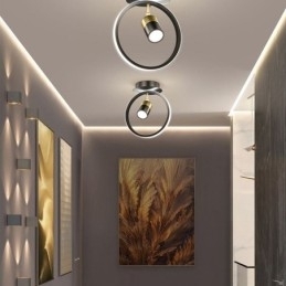 Designer Touch Decorative Acrylic Ceiling Lamp Minimalist Decor Light Spotlight