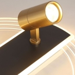 Designer Touch Decorative Ceiling Lamp Unique Acrylic Decor Lighting Spotlight