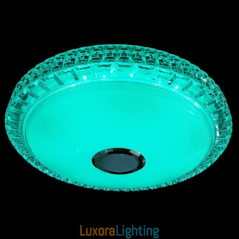 Designer Touch Decorative Flush Mount Ceiling Light Remote APP Control Bluetooth Music Speaker Light