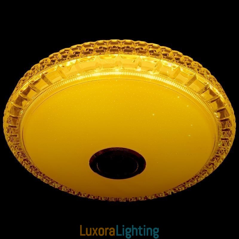 Designer Touch Decorative Flush Mount Ceiling Light Remote APP Control Bluetooth Music Speaker Light