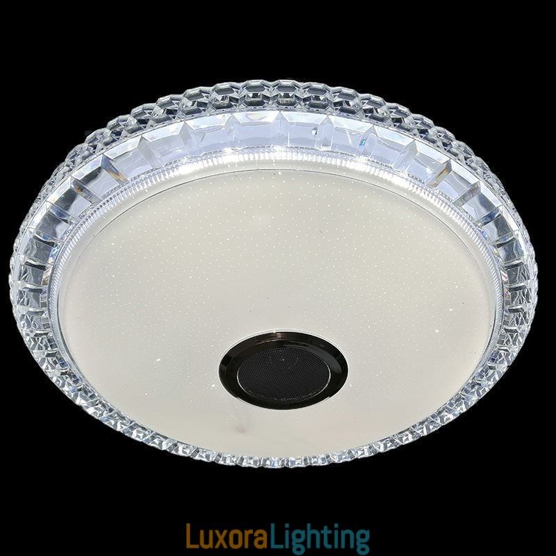 Designer Touch Decorative Flush Mount Ceiling Light Remote APP Control Bluetooth Music Speaker Light