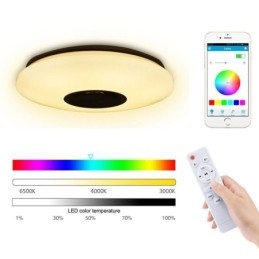 Designer Touch Decorative Flush Mount Colorful Ceiling Lamp with Bluetooth Music Speaker Timing Function