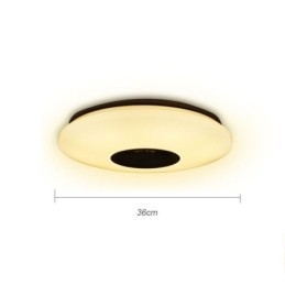Designer Touch Decorative Flush Mount Colorful Ceiling Lamp with Bluetooth Music Speaker Timing Function