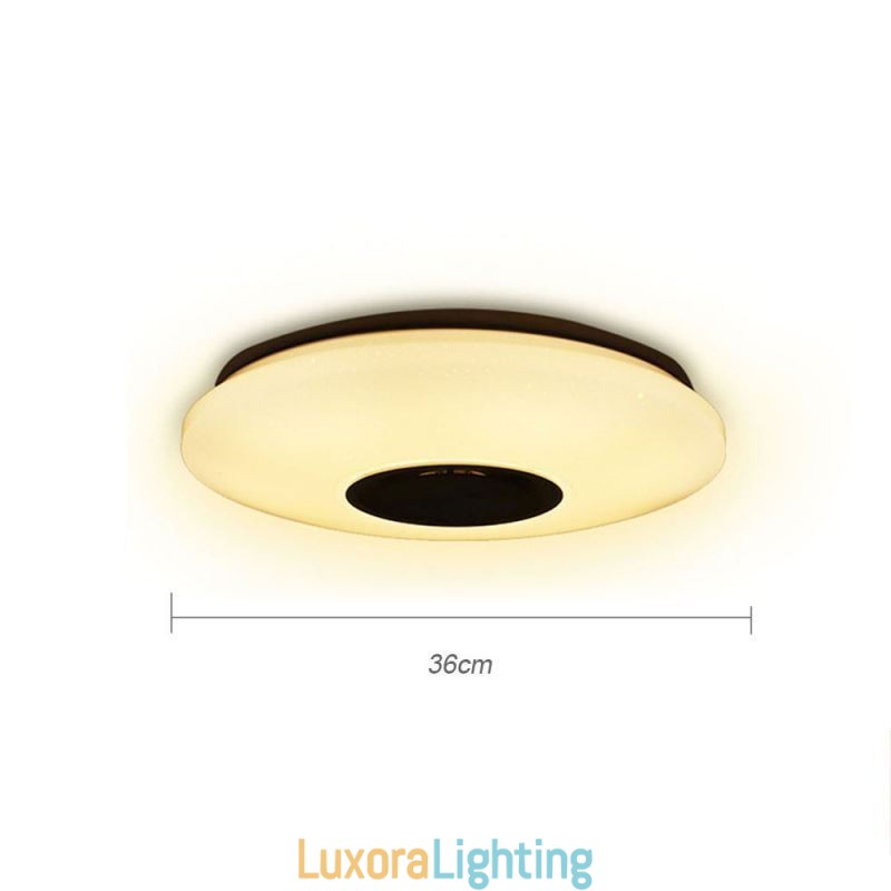 Designer Touch Decorative Flush Mount Colorful Ceiling Lamp with Bluetooth Music Speaker Timing Function