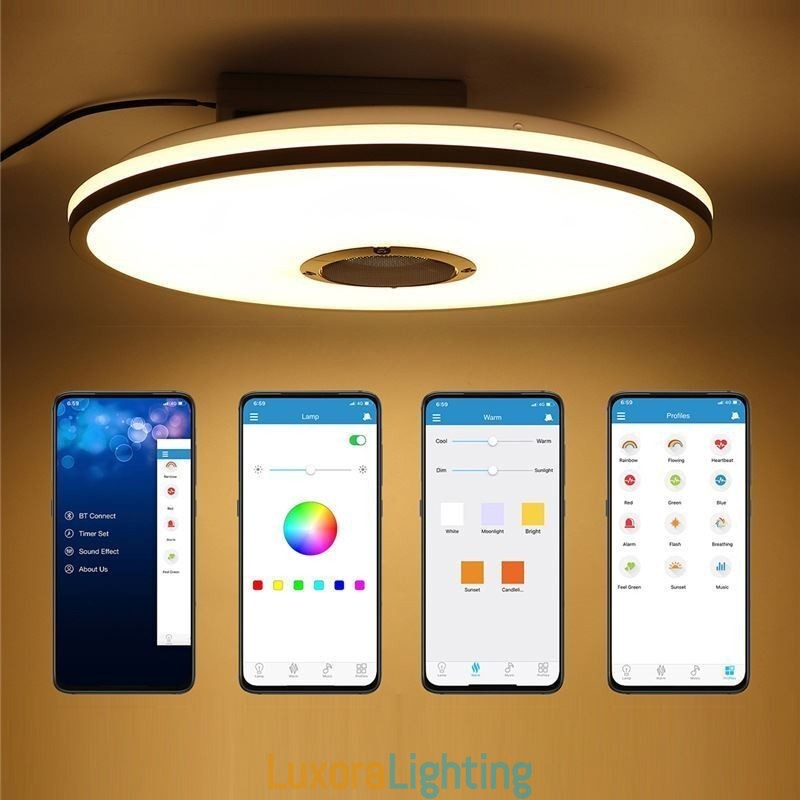 Designer Touch Decorative Flush Mount Colorful Ceiling Light with Bluetooth Music Speaker Timing Function