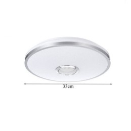 Designer Touch Decorative Flush Mount Colorful Ceiling Light with Bluetooth Music Speaker Timing Function
