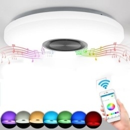 Designer Touch Decorative Flush Mount Lamp Remote APP Control Bluetooth Music Speaker Lamp