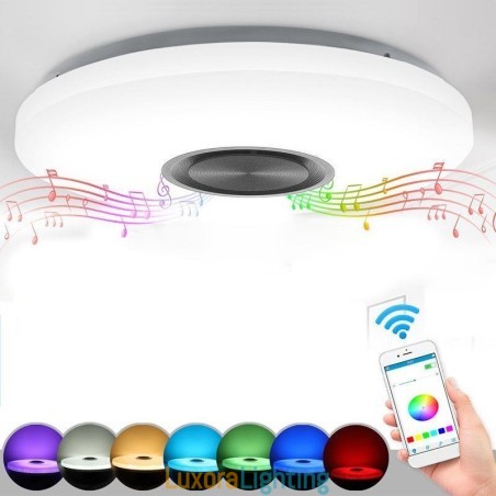 Designer Touch Decorative Flush Mount Lamp Remote APP Control Bluetooth Music Speaker Lamp