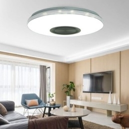 Designer Touch Decorative Flush Mount Ceiling Light Lamp Remote APP Control Bluetooth Music Speaker Lamp