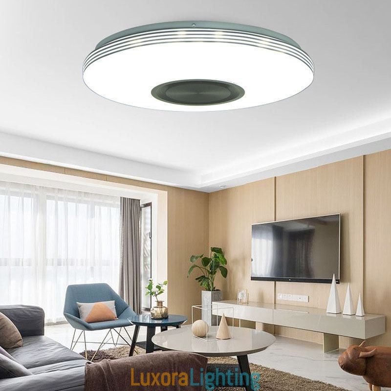 Designer Touch Decorative Flush Mount Ceiling Light Lamp Remote APP Control Bluetooth Music Speaker Lamp