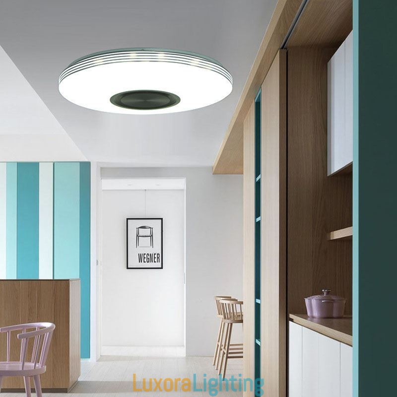 Designer Touch Decorative Flush Mount Ceiling Light Lamp Remote APP Control Bluetooth Music Speaker Lamp
