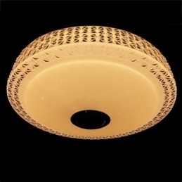 Designer Touch Decorative Ceiling Light Lamp Remote APP Control Bluetooth Music Speaker Flush Mount