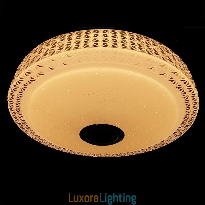 Designer Touch Decorative Ceiling Light Lamp Remote APP Control Bluetooth Music Speaker Flush Mount