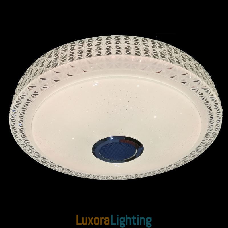Designer Touch Decorative Ceiling Light Lamp Remote APP Control Bluetooth Music Speaker Flush Mount