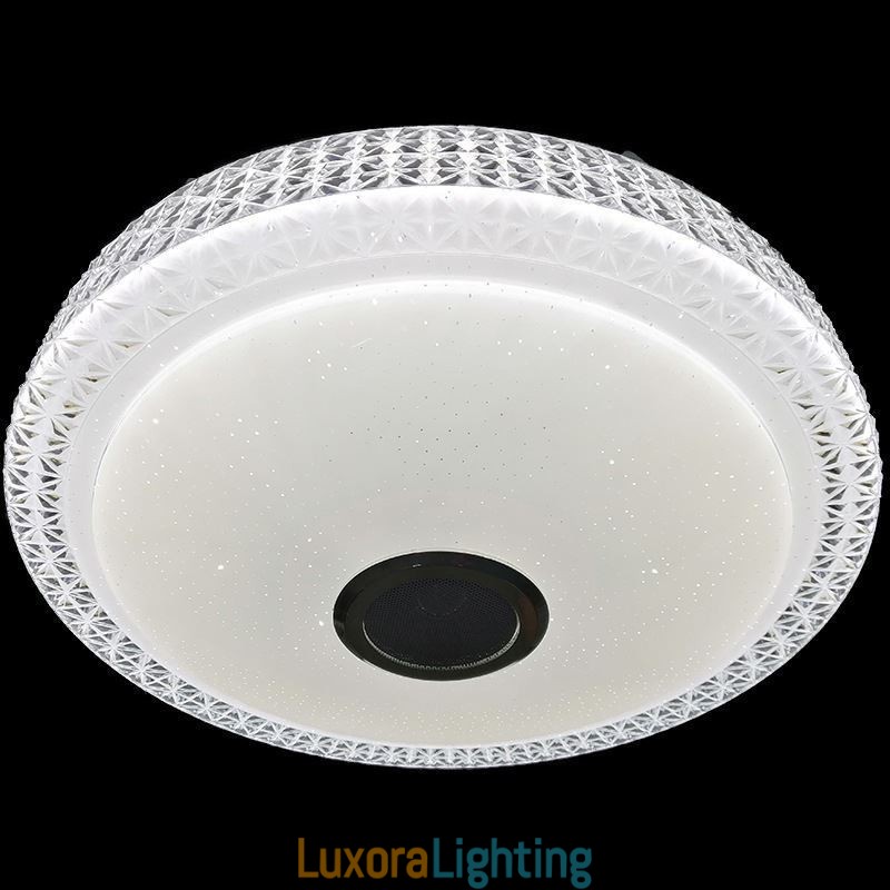 Designer Touch Decorative Ceiling Light Lamp Remote APP Control Bluetooth Music Speaker Flush Mount