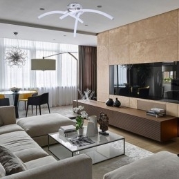 Designer Touch Decorative Simple Flush Mount Arc Shaped Acrylic Cross Ceiling Light